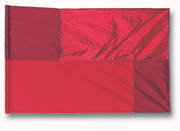 161E