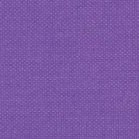 Crocus-lg