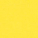 Sunshine Poly Silk