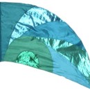 fi119