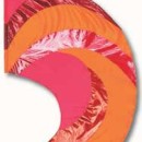fi205A