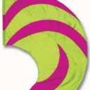 fi205E