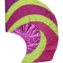 fi205F