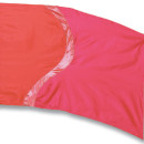 fi246A