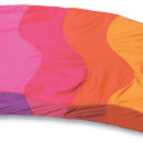 fi255A