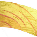 fi301