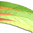 fi317