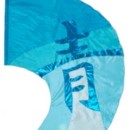fi516