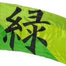 fi517