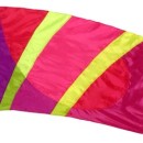 fi529B