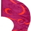 fi541