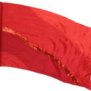 fi810C