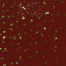 Red Gold Sparkle Stretch
