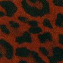 Red Leopard Stretch