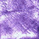 Iris Foil