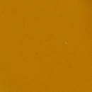 Dandelion Milliskin