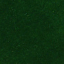 Green Stretch Velvet